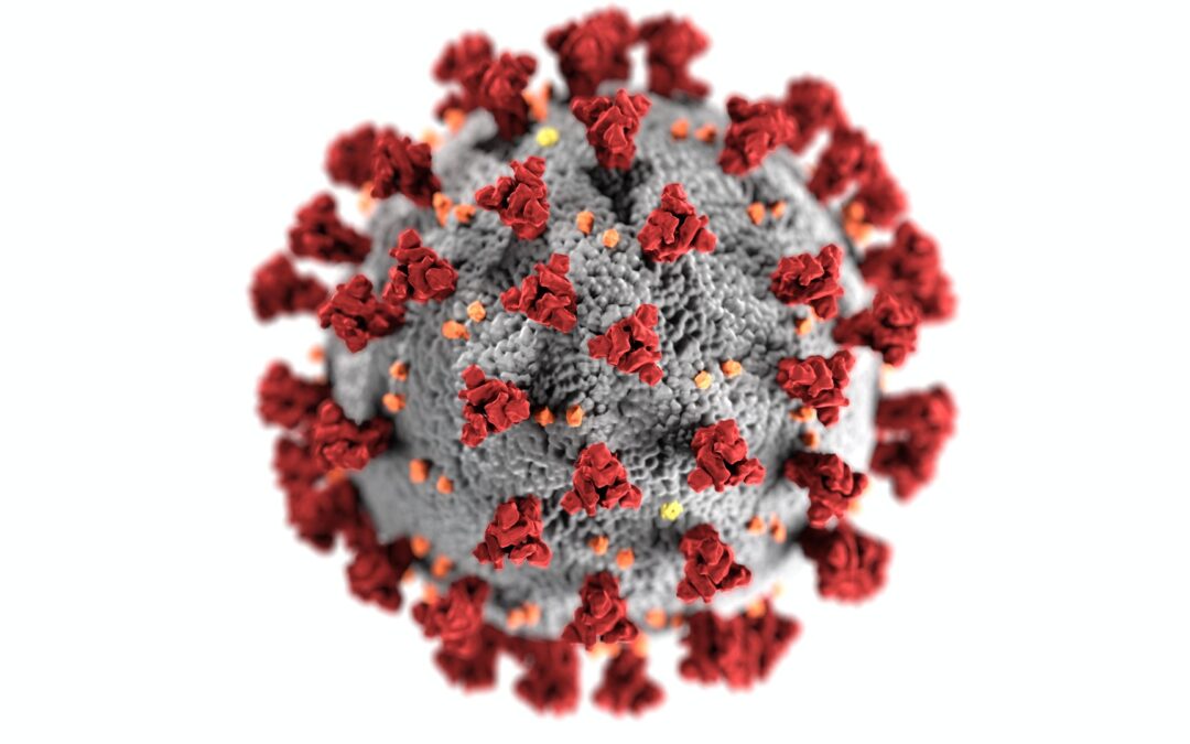 Darstellung Virus
